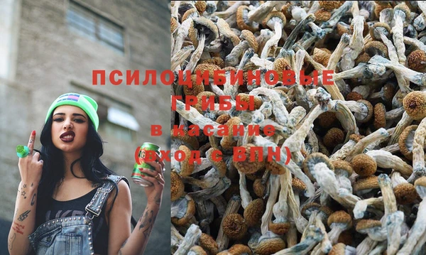 герыч Алексин