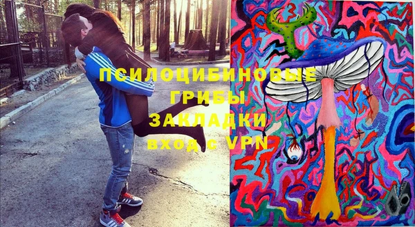 герыч Алексин