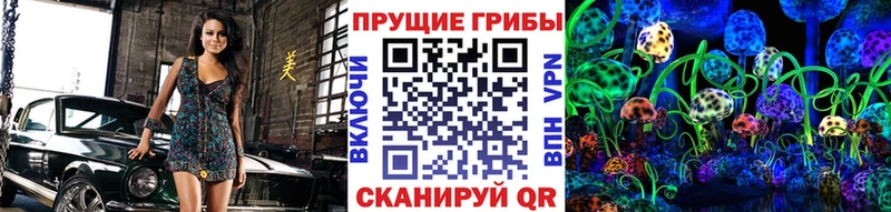 Псилоцибиновые грибы Psilocybe  цены наркотик  Лениногорск 